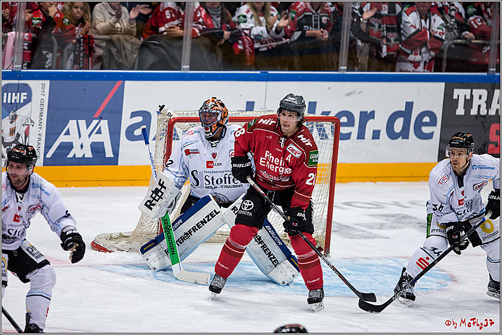 Koelner Haie - Straubing Tigers, 03.10.2016